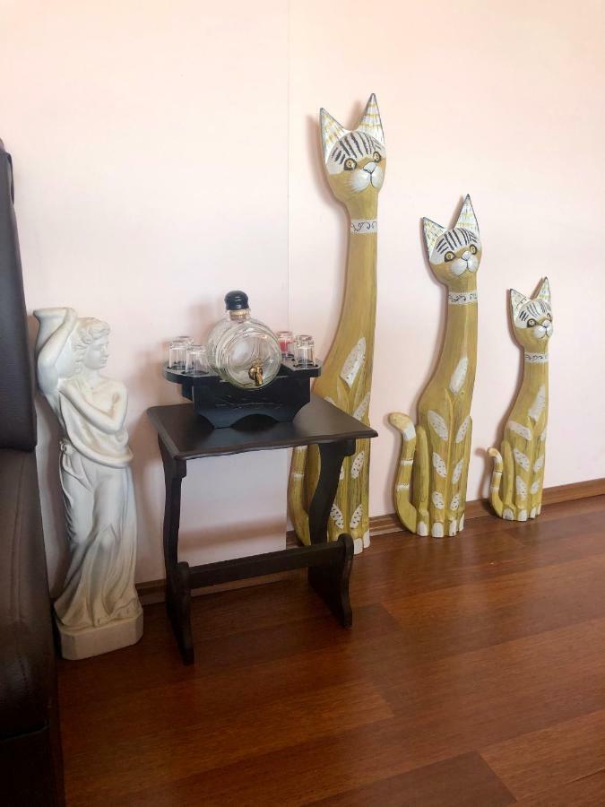 Valevitsata Guesthouse 라즐로그 외부 사진